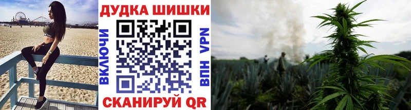 Купить закладку A PVP  Псилоцибиновые грибы  Меф  ГАШИШ  Канабис  Отрадный