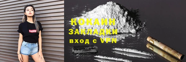хмурый Гусев
