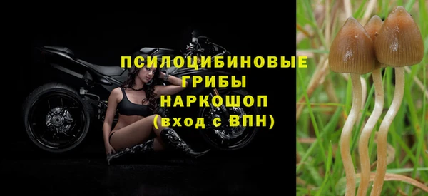 apvp Гусиноозёрск