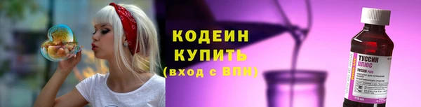apvp Гусиноозёрск