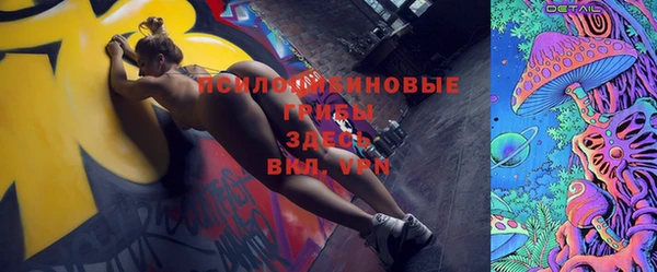 хмурый Гусев